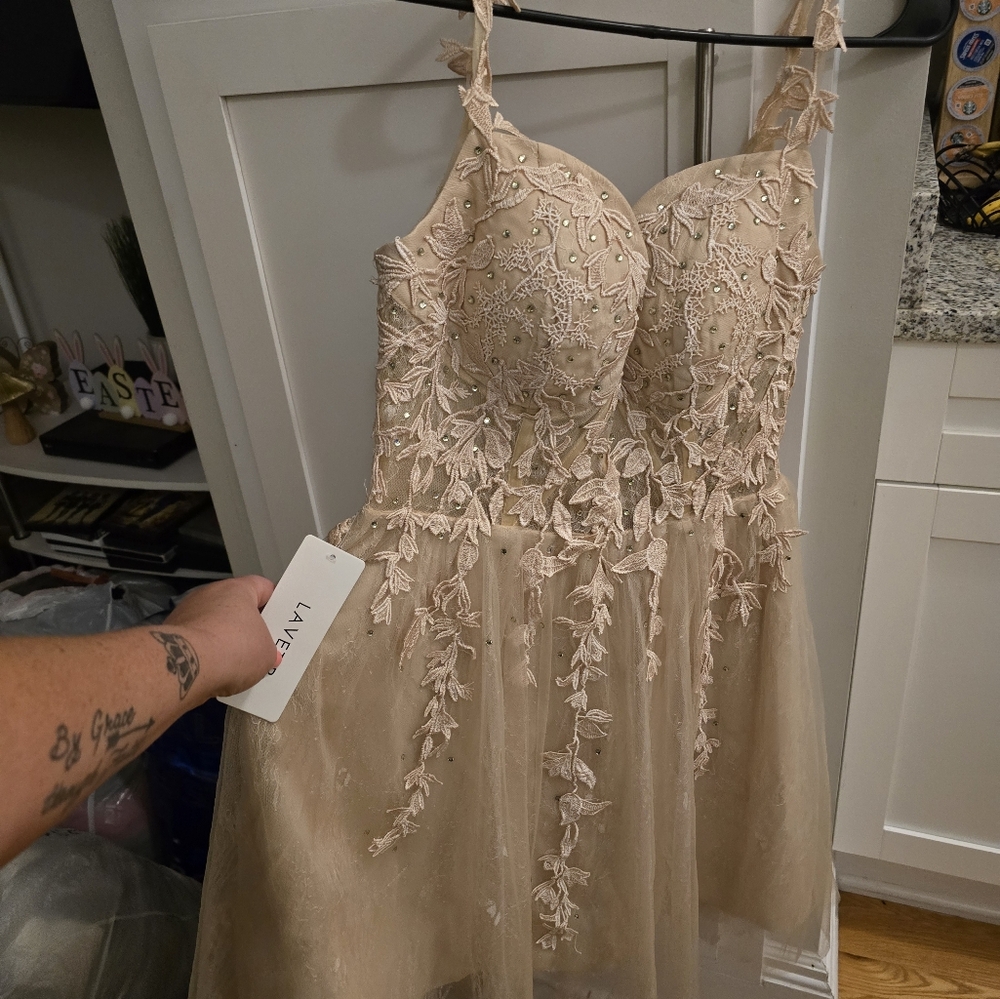 Elegant Beige Embroidered Dress